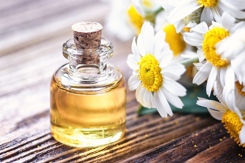 Un jour une huile essentielle : le Géranium en aromathérapie